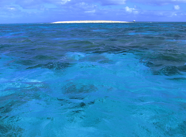 Coral Sea meeting attracts huge crowd